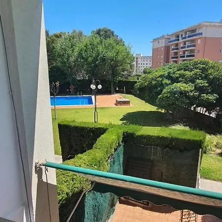 Apvvitor001
